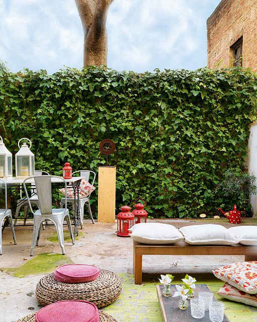 patio trasero