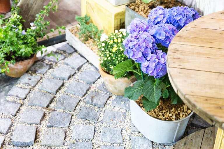 Coordina las plantas con los pavimentos